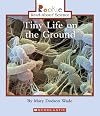 Tiny Life on the Ground (Rookie Read-About Science)