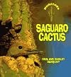 Saguaro Cactus (Habitats)