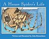 A House Spider's Life