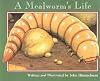 A Mealworm's Life (Nature Upclose)