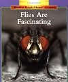 Flies Are Fascinating