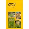 Grasses in California