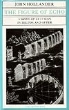 The Figure of Echo: A Mode of Allusion in Milton and After (Quantum Book)