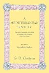 A Mediterranean Society: The Jewish Communities of the Arab World as Portrayed in the Documents of the Cairo Geniza, Vol. VI: Cumulative Indices