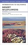Introduction to California Desert Wildflowers
