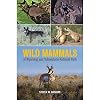 Wild mammals of Wyoming and Yellowstone National Park