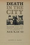 Death in the city : suicide and the social imaginary in modern Mexico
