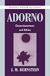 Adorno: Disenchantment and Ethics