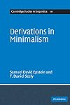 Derivations in Minimalism