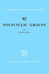 Polycyclic Groups