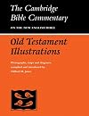 Old Testament Illustrations (Cambridge Bible Commentaries on the Old Testament)