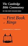 The First Book of Kings (Cambridge Bible Commentaries on the Old Testament)