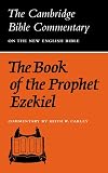 The Book of the Prophet Ezekiel
