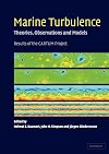 Marine Turbulence: Theories, Observations, and Models