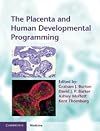 The Placenta and Human Developmental Programming (Cambridge Medicine (Hardcover))