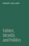 Culture, Identity, and Politics