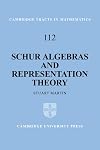 Schur Algebras and Representation Theory