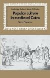 Popular Culture in Medieval Cairo (Cambridge Studies in Islamic Civilization)