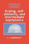 Scaling, Self-similarity, and Intermediate Asymptotics: Dimensional Analysis and Intermediate Asymptotics