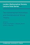 Two-dimensional homotopy and combinatorial group theory