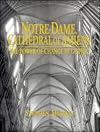 Notre Dame, Cathedral of Amiens: The Power of Change in Gothic