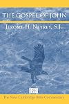 The Gospel of John (New Cambridge Bible Commentary)