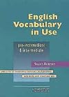 English Vocabulary in Use: Pre-Intermediate and Intermediate