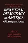 Industrial Democracy in America: The Ambiguous Promise