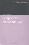 Perspectives on Labour Law (Law in Context)