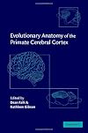 Evolutionary Anatomy of the Primate Cerebral Cortex