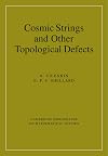 Cosmic Strings and Other Topological Defects