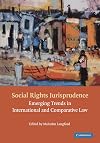 Social Rights Jurisprudence: Emerging Trends in International and Comparative Law
