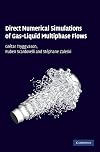Direct numerical simulations of gas-liquid multiphase flows