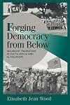 Forging Democracy from Below: Insurgent Transitions in South Africa and El Salvador
