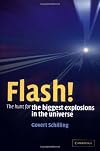 Flash!: The Hunt for the Biggest Explosions in the Universe