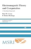 Electromagnetic Theory and Computation: A Topological Approach