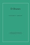 D-Branes