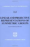 Linear and Projective Representations of Symmetric Groups