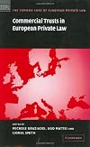 Commercial Trusts in European Private Law (The Common Core of European Private Law)
