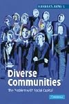 Diverse Communities: The Problem with Social Capital