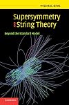 Supersymmetry and String Theory: Beyond the Standard Model
