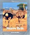 Bizarre Birds (Watts Library: Animals)