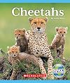 Cheetahs (Nature's Children) (Nature's Children, Fourth Series)