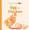 Egg to Chicken (Growing Up) (Paperback) (Explore the Life Cycle!)