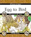 Egg to Bird (Cycles of Life)