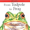 From Tadpole to Frog (Lifecycles)