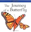 The Journey of a Butterfly (Lifecycles)