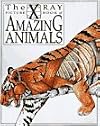 The X Ray Picture Book of Amazing Animals (The X Ray Picture Books)