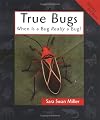 True Bugs (Animals in Order)