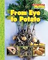 From Eye to Potato